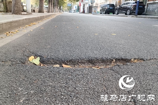 路面坑洼 路灯不亮！骏马路出行安全隐患盼消除