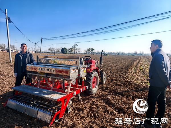 平舆县射桥镇：田间地头察农情 抢抓农时保生产