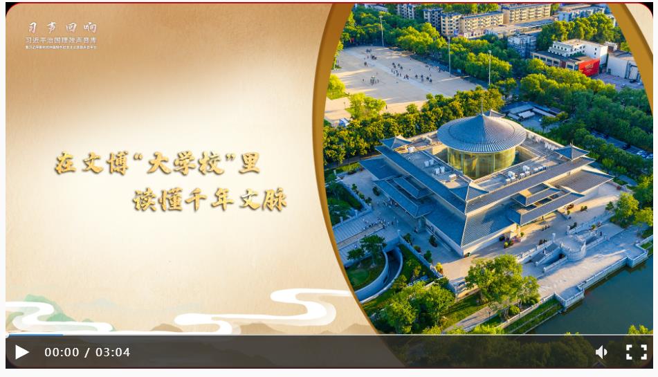 【习声回响·文韵中国】在文博“大学校”里读懂千年文脉