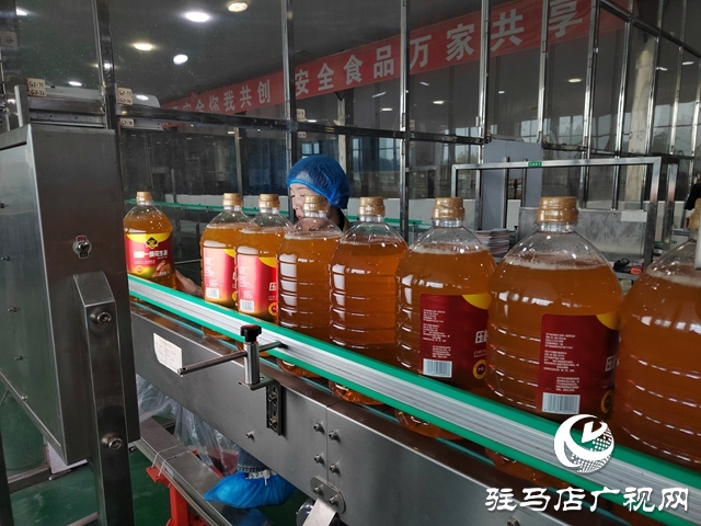 遂平县：铆足干劲赶进度 奋力冲刺四季度