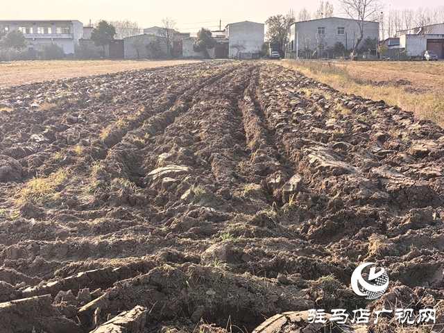 开发区关王庙乡：抢抓农时 扎实推进冬小麦有序播种