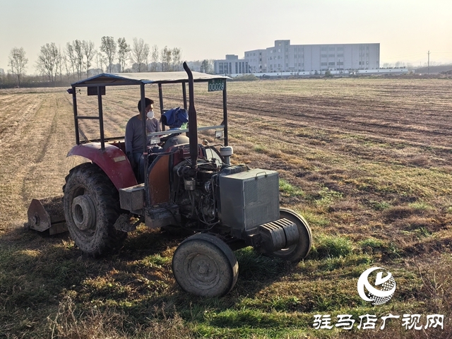 开发区关王庙乡：抢抓农时 扎实推进冬小麦有序播种