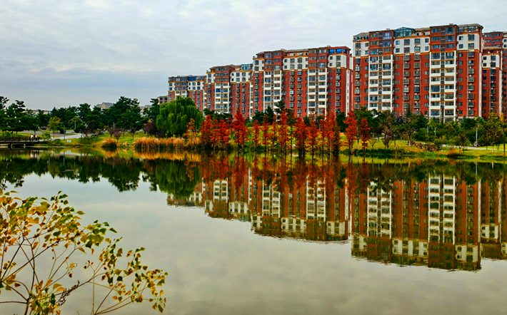 县区动态｜水杉披“红装” 晴光暖玉湖