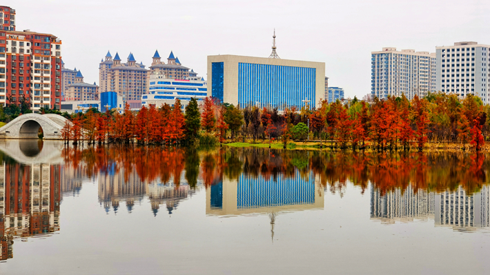 县区动态｜水杉披“红装” 晴光暖玉湖