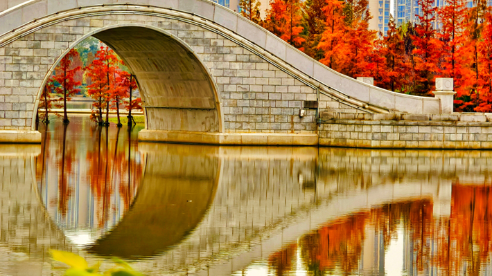 县区动态｜水杉披“红装” 晴光暖玉湖