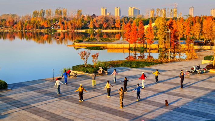 县区动态｜水杉披“红装” 晴光暖玉湖