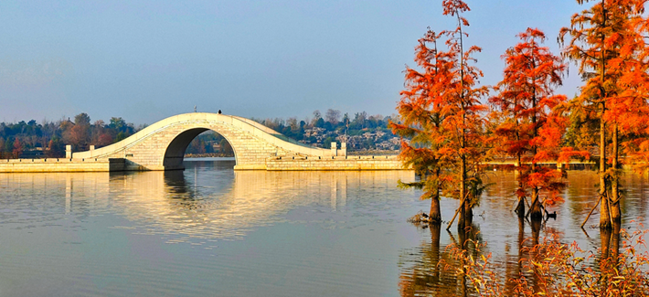 县区动态｜水杉披“红装” 晴光暖玉湖