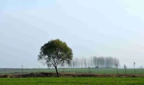 县区动态 | 象河乡有两个宝藏游玩地，每一个都值得奔赴