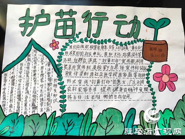 平舆县古槐三小“护苗·绿书签”手抄报活动点燃创作活力