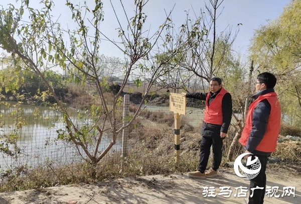 平舆县射桥镇组织专人开展重点水域安全隐患专项排查行动