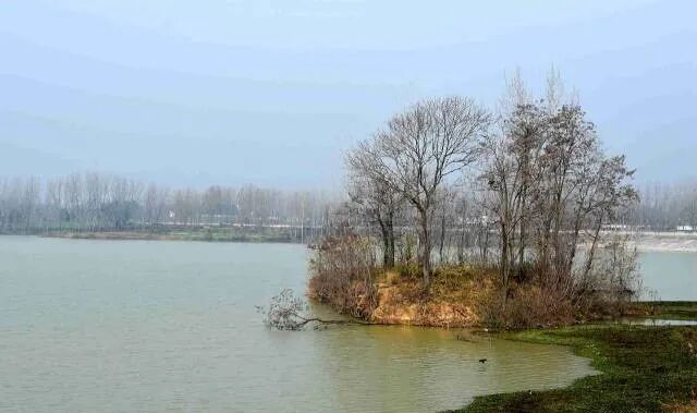 县区动态 | 象河乡有两个宝藏游玩地，每一个都值得奔赴