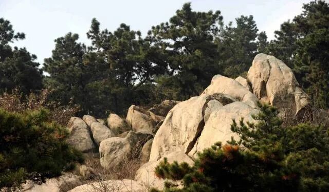 县区动态 | 象河乡有两个宝藏游玩地，每一个都值得奔赴