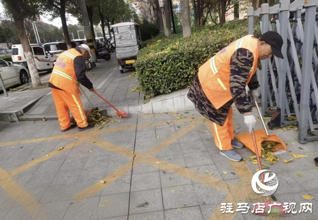 开发区城市管理事务中心积极应对强风天气 全力保障城市平稳运行