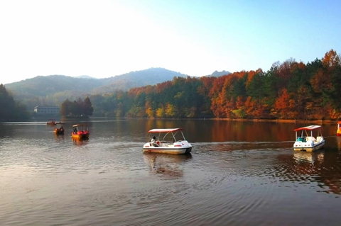 金顶山免门票迎农加会 推动“农业+旅游”跨界融合