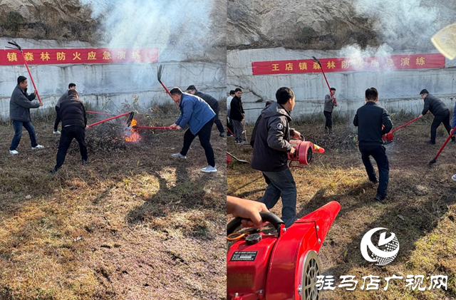 泌阳县王店镇开展森林防火应急演练