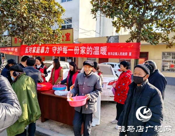 平舆县西洋店镇:多部门联动反家暴 共筑和谐家庭防线