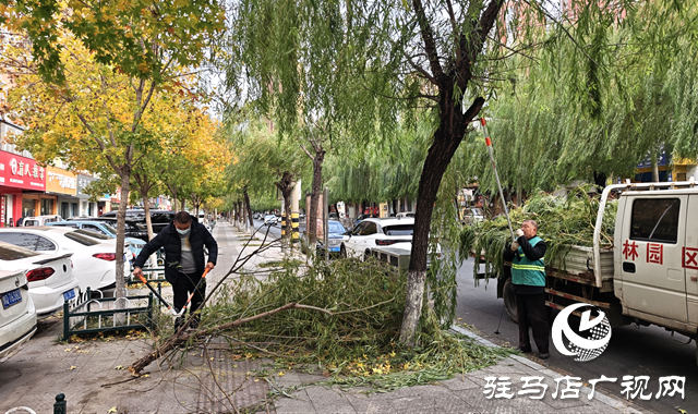 开发区城市管理事务中心积极应对强风天气 全力保障城市平稳运行