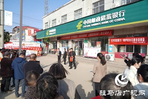 平舆县人民法院：普法宣传赶大集 共筑反家暴防线