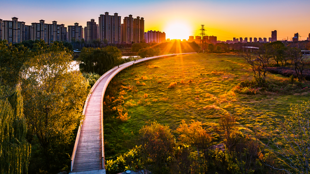 县区动态 | 月季迎冬开 繁花送香来