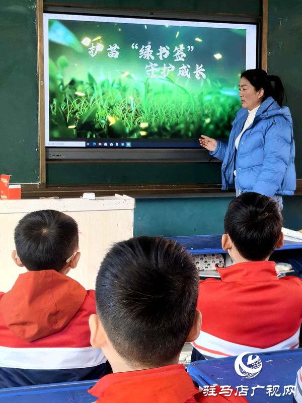 平舆县古槐第二小学开展护苗绿书签活动:书香浸润成长