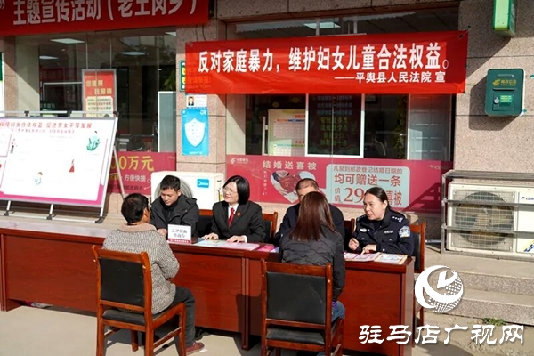 平舆县人民法院：普法宣传赶大集 共筑反家暴防线