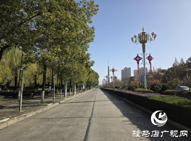 驻马店:园林精心养护迎盛会 满城绿意笑纳八方客