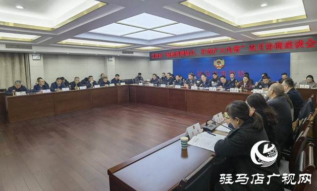 驻马店市政协召开“畅通消费堵点 有效扩大内需”双月协商座谈会