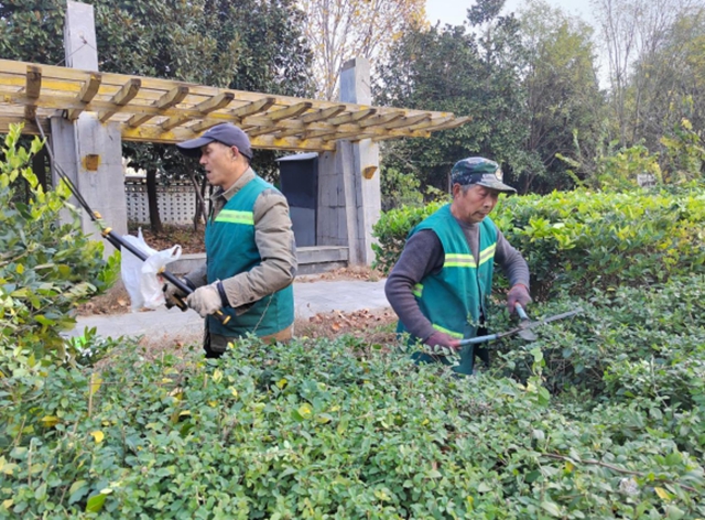 驻马店：园林精心养护迎盛会 满城绿意笑纳八方客