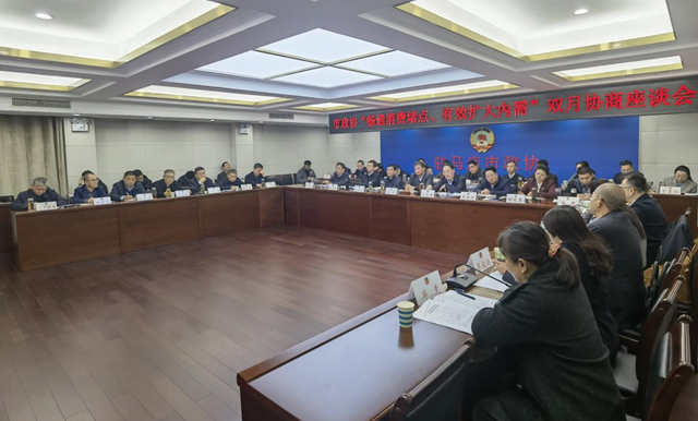 驻马店市政协召开“畅通消费堵点 有效扩大内需”双月协商座谈会