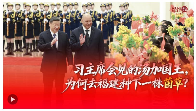 经纬线·习主席会见的汤加国王，为何去福建种下一株菌草？