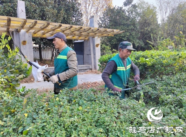 驻马店:园林精心养护迎盛会 满城绿意笑纳八方客