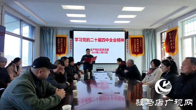 确山县盘龙街道生产街社区深入学习党的二十届四中全会精神