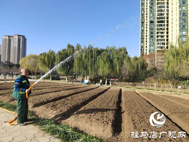 驻马店:园林精心养护迎盛会 满城绿意笑纳八方客