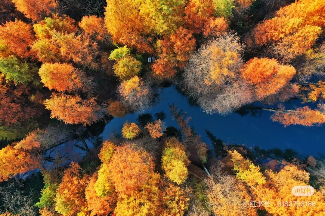 冬日信阳，独具魅力！