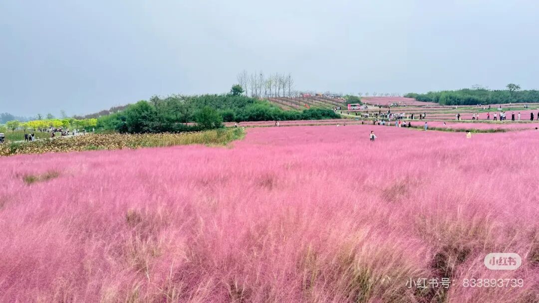 冬日信阳，独具魅力！