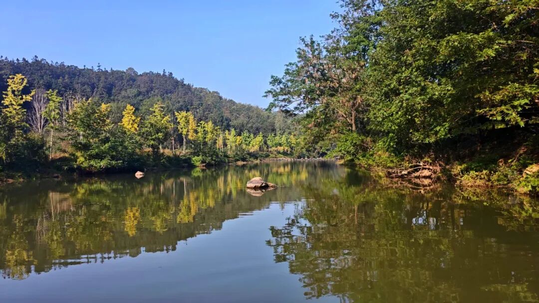 冬日信阳，独具魅力！