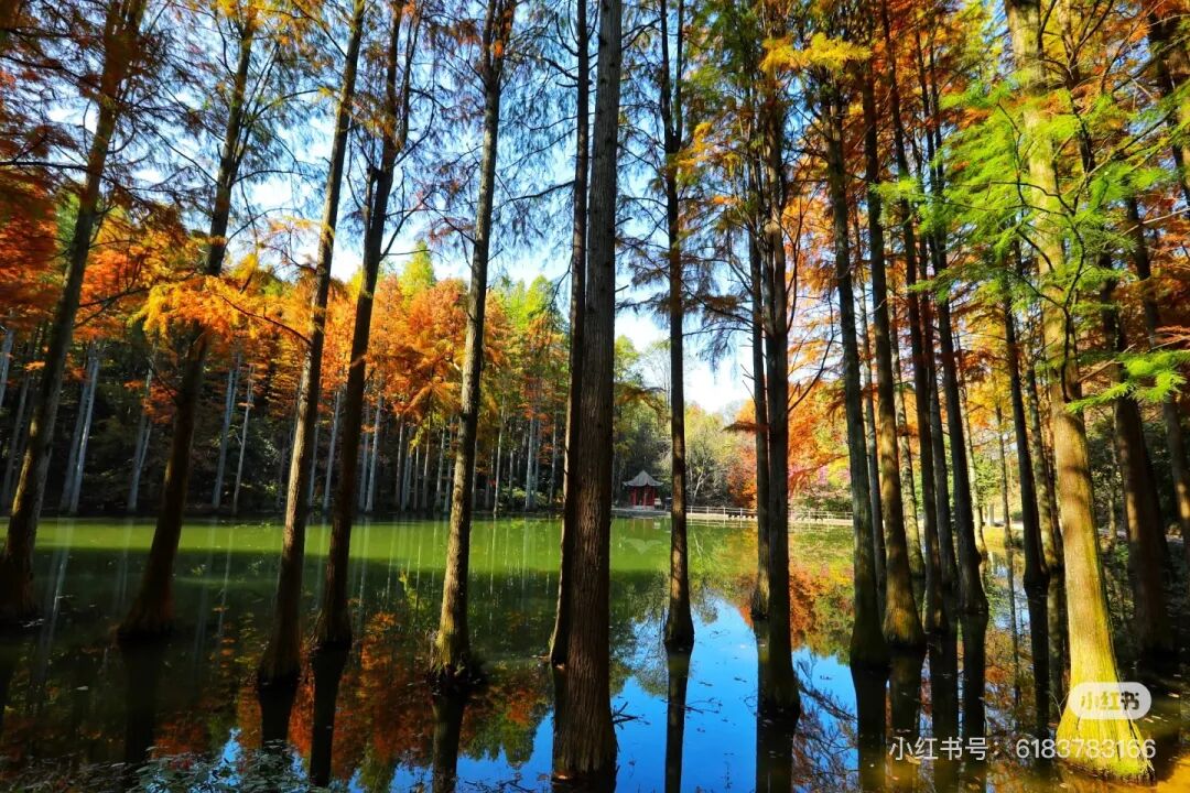 冬日信阳，独具魅力！