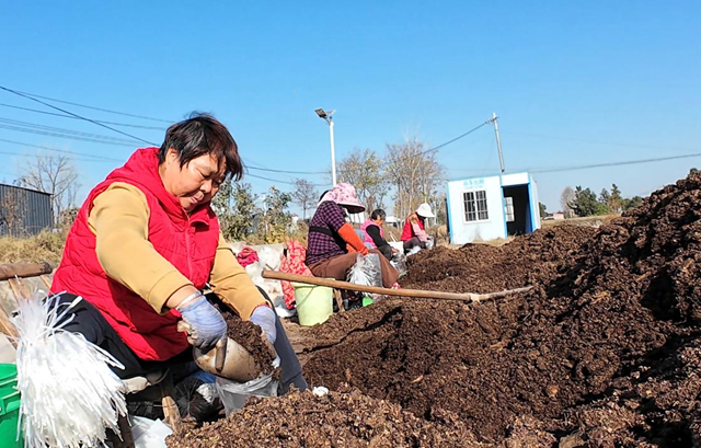 正阳县熊寨镇毛集村：菌菇撑起“致富伞” 乡村绽放“幸福花”