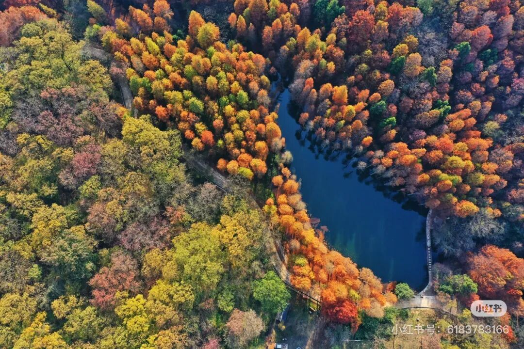 冬日信阳，独具魅力！