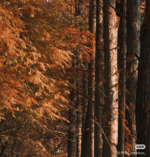 冬日信阳，独具魅力！