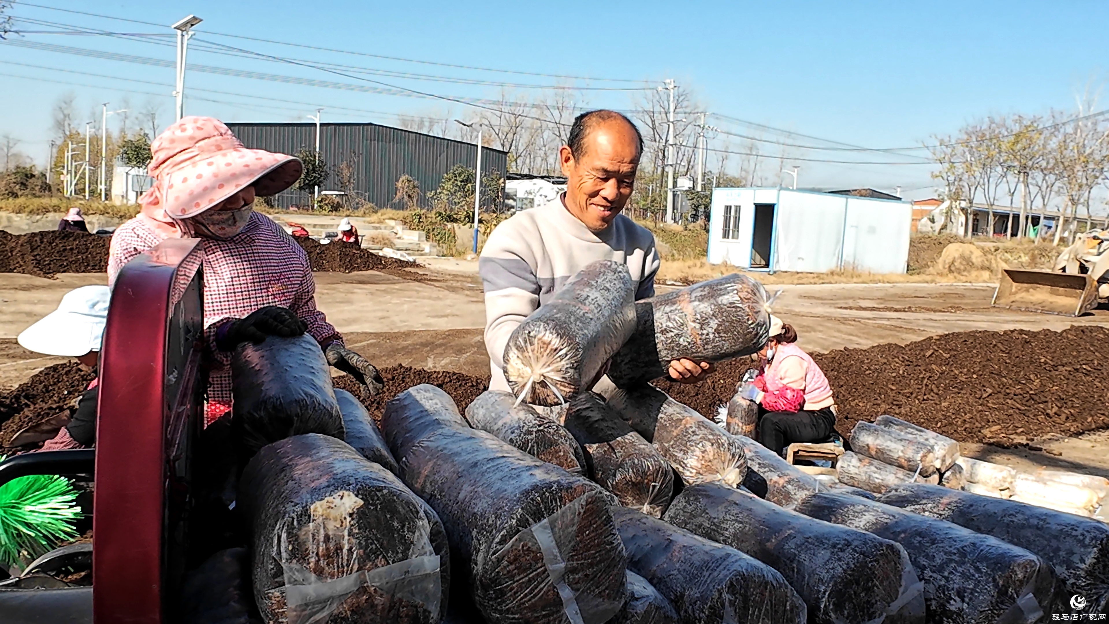 正阳县熊寨镇毛集村：菌菇撑起“致富伞” 乡村绽放“幸福花”