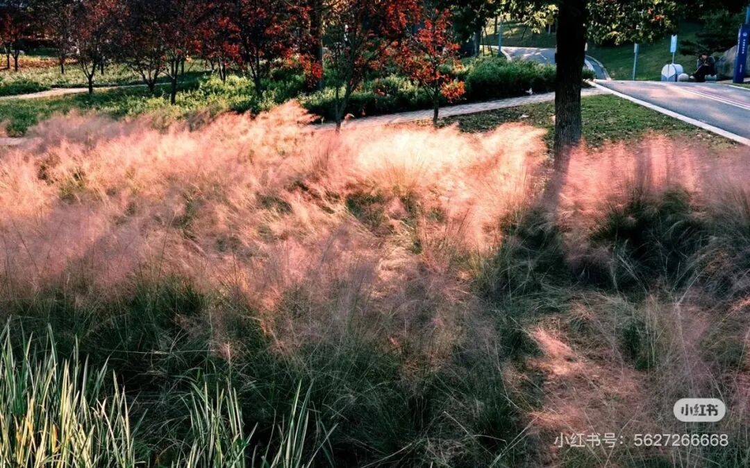 冬日信阳，独具魅力！