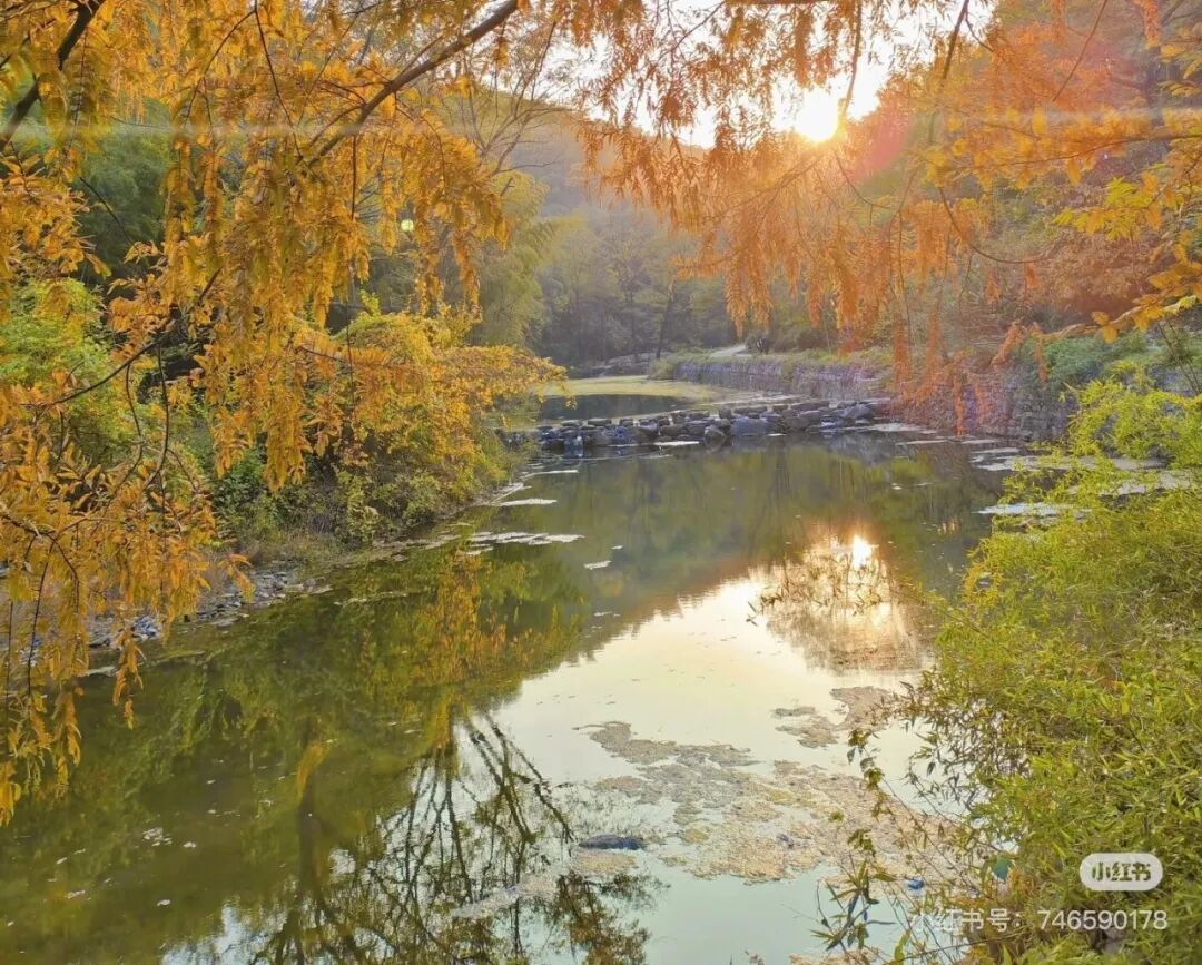 冬日信阳，独具魅力！