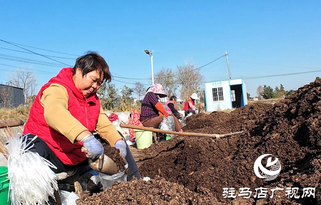 正阳县熊寨镇毛集村：菌菇撑起“致富伞” 乡村绽放“幸福花”