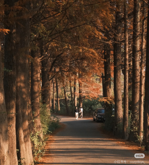 冬日信阳，独具魅力！