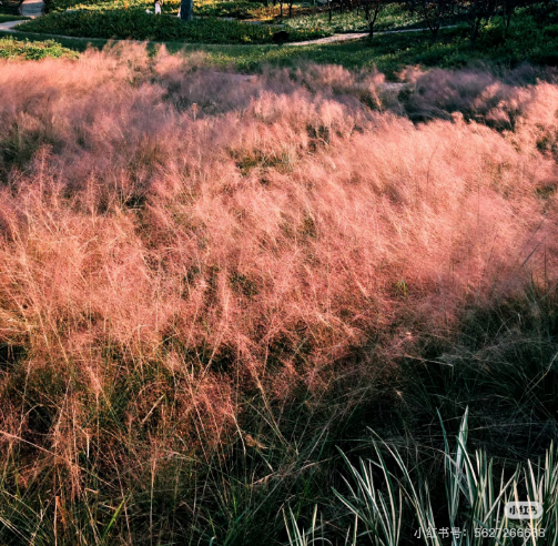 冬日信阳，独具魅力！