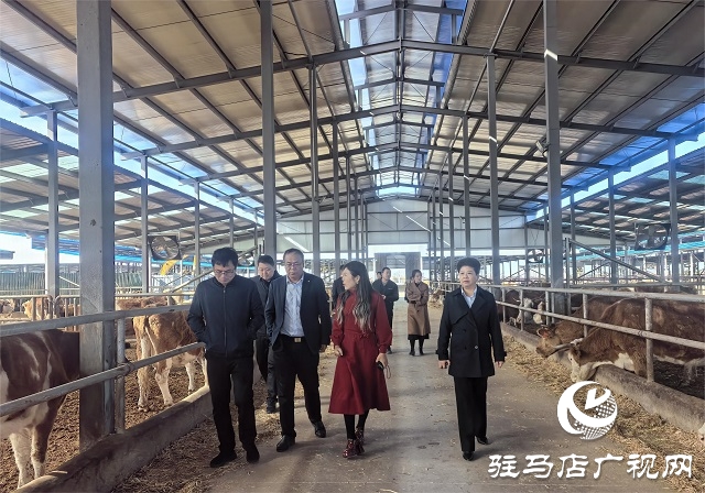 金融助力谱新篇 深耕天中再启航——工行驻马店分行“十四五”期间服务地方经济社会发展综述