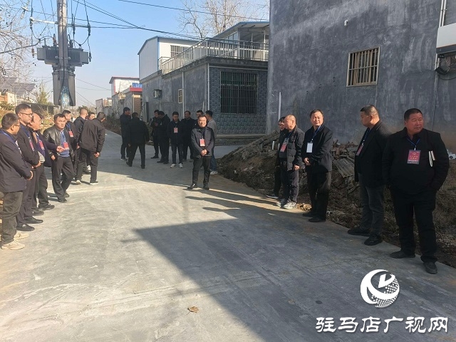 新蔡县顿岗乡组织人大代表视察调研道路建设民生实事项目