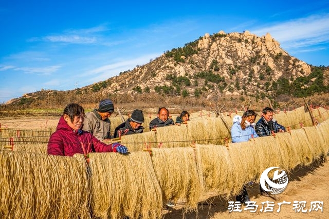 粉条搭起致富桥 ——走进驻马店驿城区板桥镇口门村黑石山自然村许学用的粉条加工点