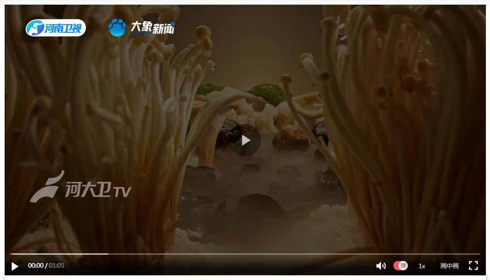 从田间到舌尖，一部流动的烟火史诗